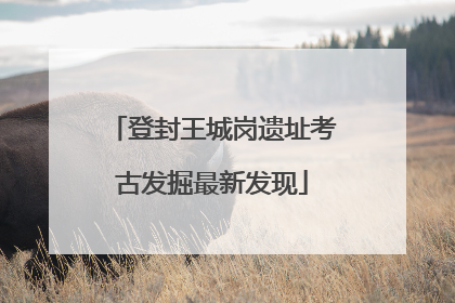 登封王城岗遗址考古发掘最新发现