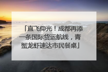 直飞仰光！成都再添一条国际货运航线，青蟹龙虾速达市民餐桌