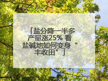 盐分降一半多 产量涨25% 看盐碱地如何变身“丰收田”