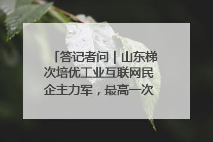 答记者问｜山东梯次培优工业互联网民企主力军，最高一次性奖补500万元