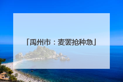 禹州市：麦罢抢种急