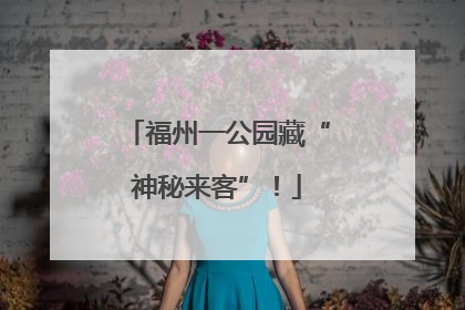 福州一公园藏“神秘来客”！