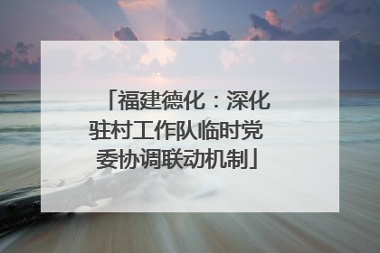 福建德化：深化驻村工作队临时党委协调联动机制