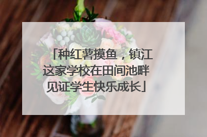 种红薯摸鱼，镇江这家学校在田间池畔见证学生快乐成长
