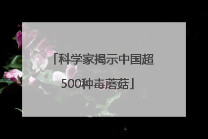 科学家揭示中国超500种毒蘑菇