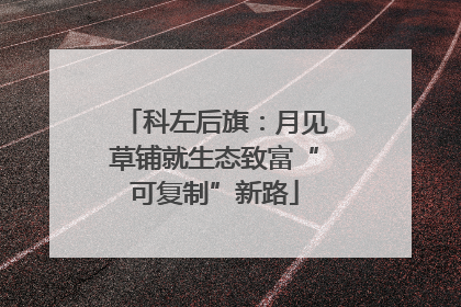 科左后旗：月见草铺就生态致富“可复制”新路
