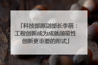 科技部原副部长李萌：工程创新成为成就颠覆性创新更重要的形式