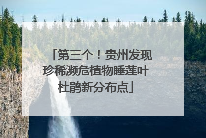 第三个！贵州发现珍稀濒危植物睡莲叶杜鹃新分布点