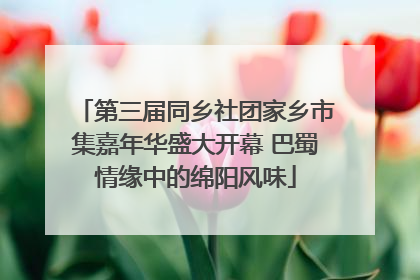 第三届同乡社团家乡市集嘉年华盛大开幕 巴蜀情缘中的绵阳风味