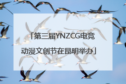 第三届YNZCG电竞动漫文创节在昆明举办
