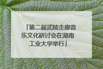 第二届武陵走廊音乐文化研讨会在湖南工业大学举行