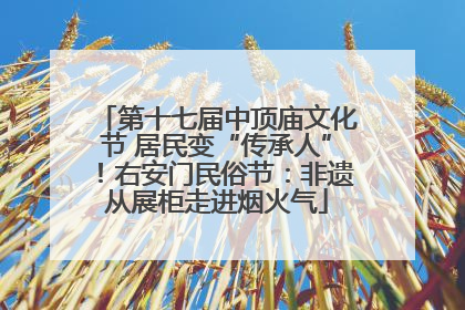 第十七届中顶庙文化节 居民变“传承人”！右安门民俗节：非遗从展柜走进烟火气
