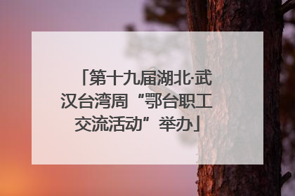 第十九届湖北·武汉台湾周“鄂台职工交流活动”举办