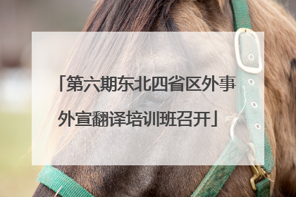 第六期东北四省区外事外宣翻译培训班召开