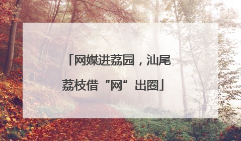网媒进荔园，汕尾荔枝借“网”出圈