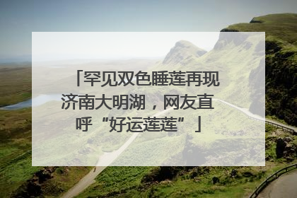 罕见双色睡莲再现济南大明湖，网友直呼“好运莲莲”