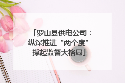 罗山县供电公司：纵深推进“两个度” 撑起监督大格局