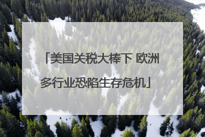 美国关税大棒下 欧洲多行业恐陷生存危机