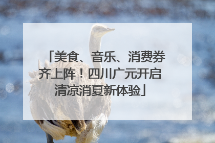 美食、音乐、消费券齐上阵！四川广元开启清凉消夏新体验