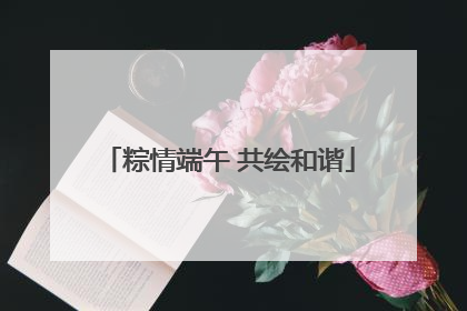 粽情端午 共绘和谐