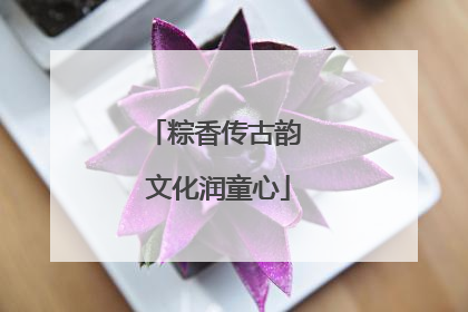 粽香传古韵 文化润童心