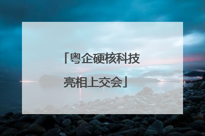 粤企硬核科技亮相上交会