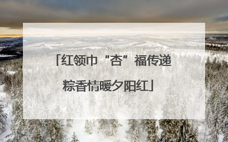 红领巾“杏”福传递 粽香情暖夕阳红