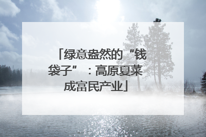 绿意盎然的“钱袋子”：高原夏菜成富民产业
