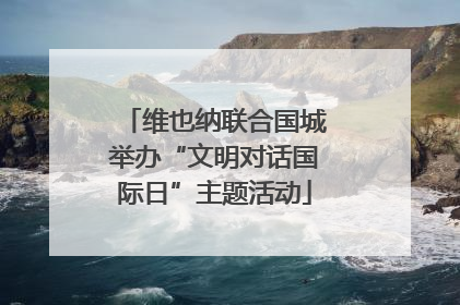 维也纳联合国城举办“文明对话国际日”主题活动