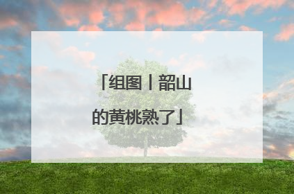 组图丨韶山的黄桃熟了