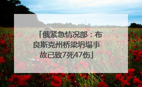 俄紧急情况部：布良斯克州桥梁坍塌事故已致7死47伤
