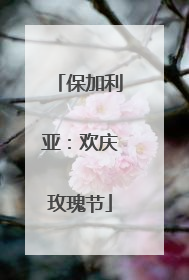 保加利亚：欢庆玫瑰节