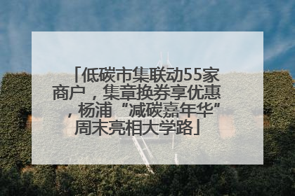 低碳市集联动55家商户，集章换券享优惠，杨浦“减碳嘉年华”周末亮相大学路