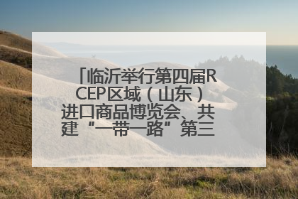 临沂举行第四届RCEP区域（山东）进口商品博览会、共建“一带一路”第三届临沂商城国际采购商大会新闻发布会