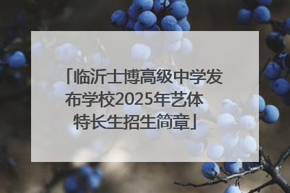 临沂士博高级中学发布学校2025年艺体特长生招生简章