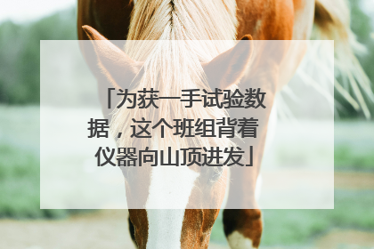 为获一手试验数据，这个班组背着仪器向山顶进发