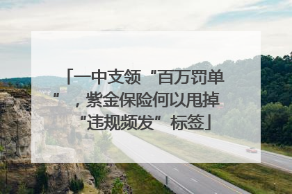 一中支领“百万罚单”，紫金保险何以甩掉“违规频发”标签
