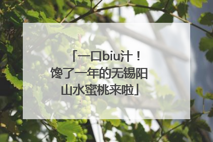一口biu汁！馋了一年的无锡阳山水蜜桃来啦