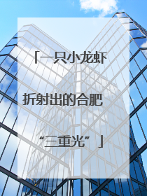 一只小龙虾折射出的合肥“三重光”