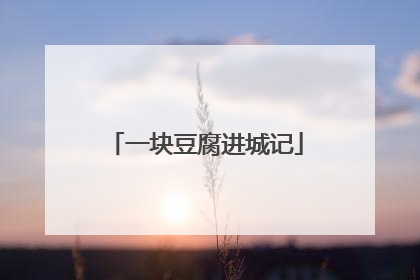 一块豆腐进城记