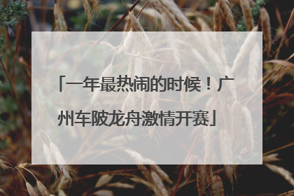 一年最热闹的时候！广州车陂龙舟激情开赛