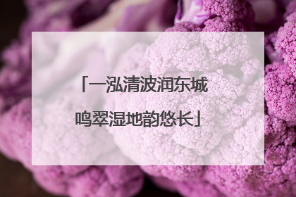 一泓清波润东城 鸣翠湿地韵悠长
