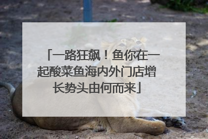 一路狂飙！鱼你在一起酸菜鱼海内外门店增长势头由何而来