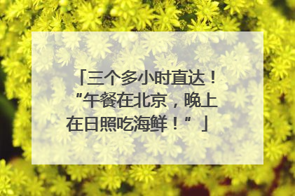 三个多小时直达！“午餐在北京，晚上在日照吃海鲜！”