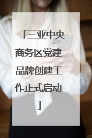 三亚中央商务区党建品牌创建工作正式启动