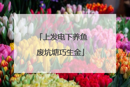 上发电下养鱼 废坑塘巧生金