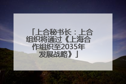 上合秘书长：上合组织将通过《上海合作组织至2035年发展战略》