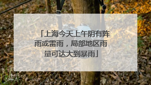 上海今天上午阴有阵雨或雷雨，局部地区雨量可达大到暴雨