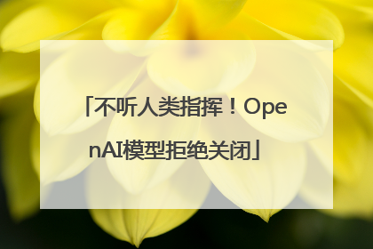 不听人类指挥！OpenAI模型拒绝关闭