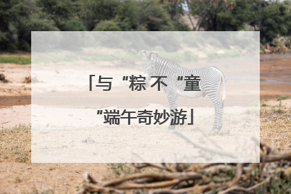 与“粽 不“童“端午奇妙游